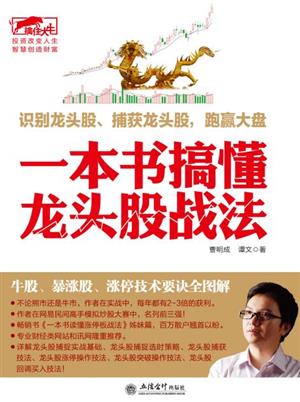 一本书搞懂龙头股战法