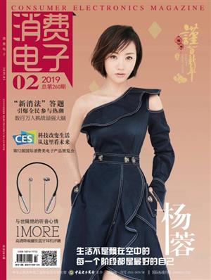 消费电子 2019年02期