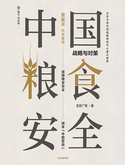 中国粮食安全 
