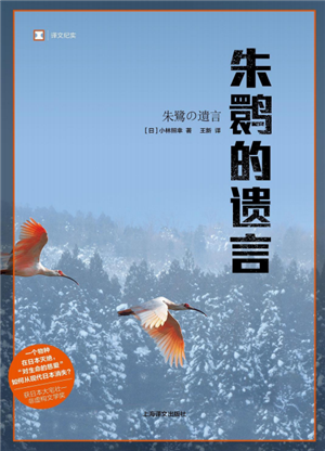 朱鹮的遗言 