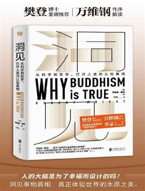 洞见