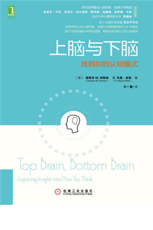 上脑与下脑：找到你的认知模式