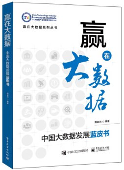 赢在大数据：中国大数据发展蓝皮书