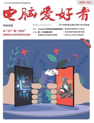 电脑爱好者 