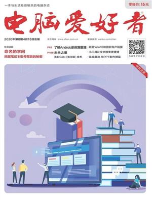 电脑爱好者 